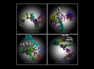 Tridimensional pseudo-random walks -spherical coordinates- defined by means of the 99.999 first decimals of 'pi' (141592...)and 'e' (718281...) -base 10- with 33.333 time steps 