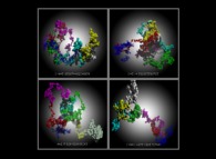 Some tridimensional pseudo-random walks -cartesian coordinates- defined by means of the 99.999 first decimals of 'pi' (141592...)and 'e' (718281...) -base 10- with 33.333 time steps 