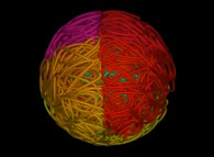 A Ball described by means of an 'open' 3-foil torus knot -iteration 4- 