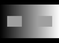 L'image de synthèse est d'une grande utilité pour visualiser les objets mathématiques, mais il est important de connaître les illusions d'optique afin de ne pas commettre d'erreurs de lecture. Sur cette image les deux petits rectangles ont exactement la même luminance : c'est l'illusion dite de contraste simultané