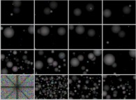 Coalescence of 40832 particles -black holes?- inside a tridimensional parallelepipedic billiard -a static, non relativistic and bounded universe- during 409.6 time units 