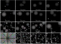 Coalescence of 40832 particles -black holes?- inside a tridimensional parallelepipedic billiard -a static, non relativistic and bounded universe- with display of the dynamics of the mass histogram, during 409.6 time units 